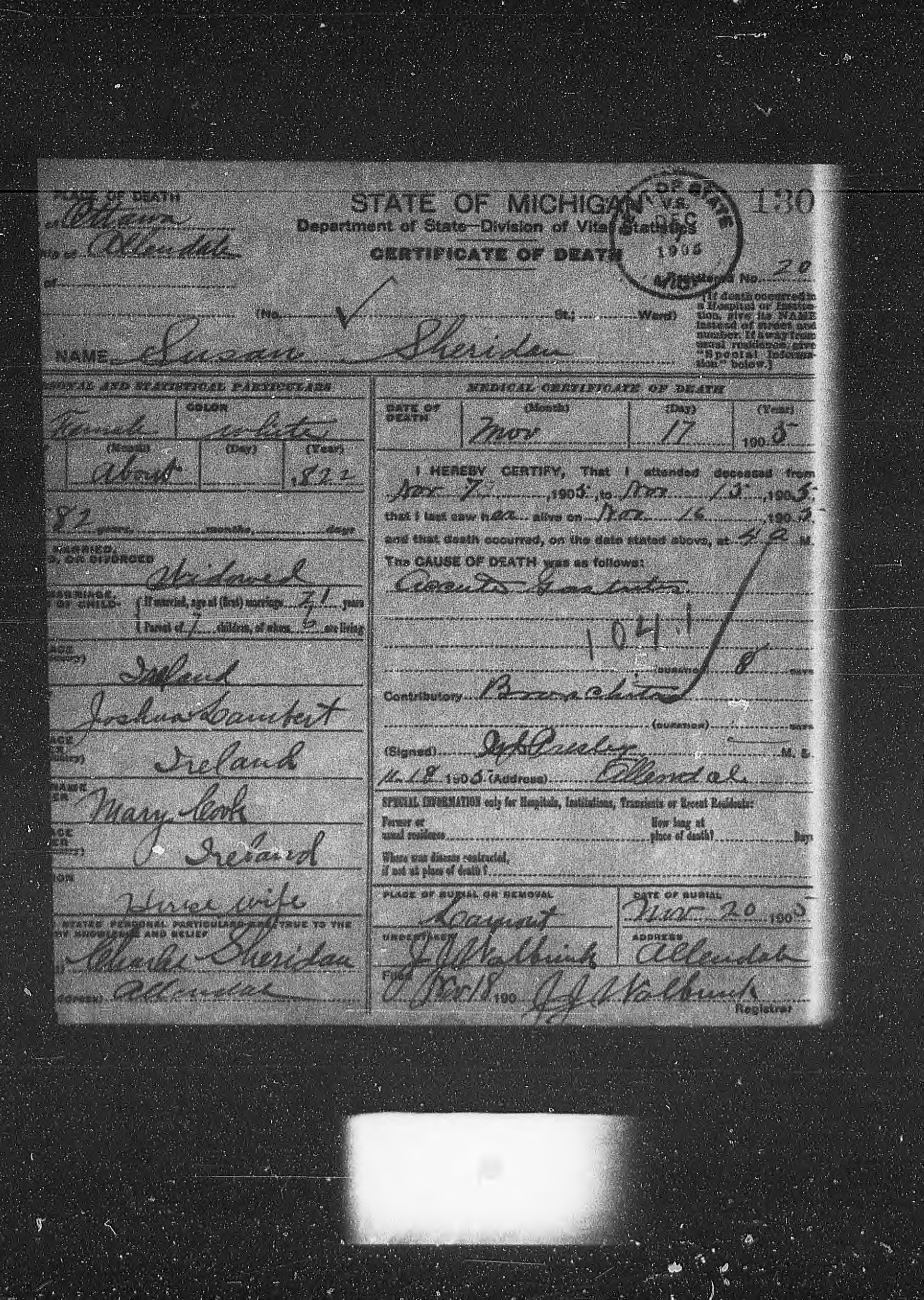 Death record of Susan Sheridan, Allendale, 17 November 1905. It names her parents, Joshua Lambert and Mary Cook, of Ireland. (Archives of Michigan, Michiganology.)